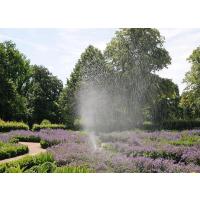 417_6309 Beete mit blühendem Lavendel - Bewässerungsanlage. | Stadtpark Hamburg Harburg.